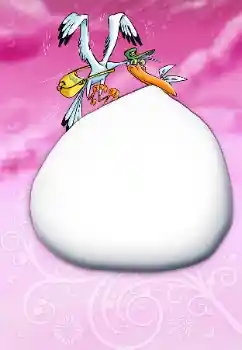 Efecto de fotos de la categoría El Primer año de vida № 79006