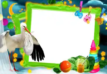 Efecto de fotos de la categoría El Primer año de vida № 81673