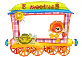 Inscripción en el marco: 5 meses