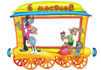 Inscripción en el marco: 6 meses