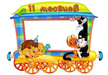 Inscripción en el marco: 11 meses