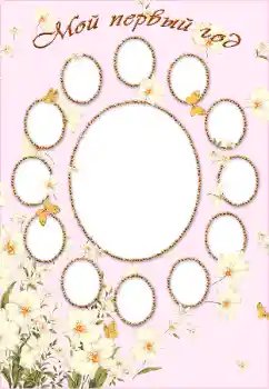 Inscripción en el marco: 1 año