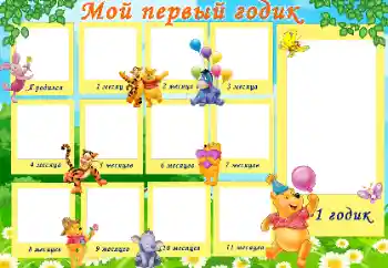 Inscripción en el marco: 1 año