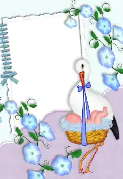 Efecto de fotos de la categoría El Primer año de vida № 99875