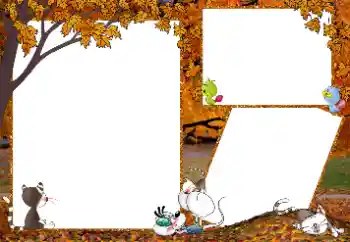 Efecto de fotos de la categoría Paseo № 192841