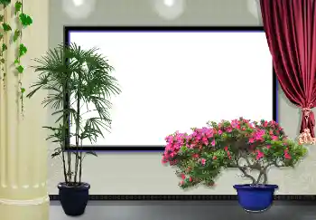 Efecto de fotos de la categoría Vallas, paredes, carteles № 3434