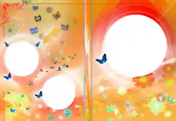 Efecto de fotos de la categoría Portadas de DVD № 145141 Efecto de fotos de la categoría Portadas de DVD № 145141