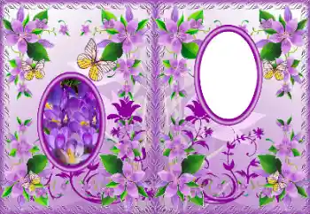 Efecto de fotos de la categoría Portadas de DVD № 183322