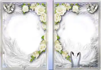 Efecto de fotos de la categoría Portadas de DVD № 4456. Inscripción en el marco: Nuestra Boda