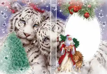 Efecto de fotos de la categoría Portadas de DVD № 4463. Inscripción en el marco: Año Nuevo