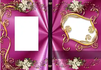 Efecto de fotos de la categoría Portadas de DVD № 4528. Inscripción en el marco: Mis aniversarios