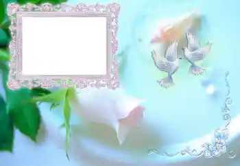 Inscripción en el marco: Invitación de boda Inscripción en el marco: Invitación de boda