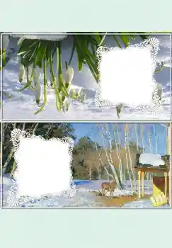 Efecto de fotos de la categoría De mesa № 4524