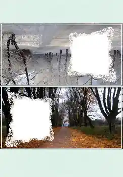 Efecto de fotos de la categoría De mesa № 4525