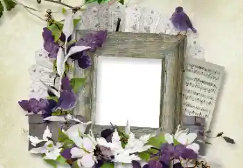 Efecto de fotos de la categoría Otros № 100112