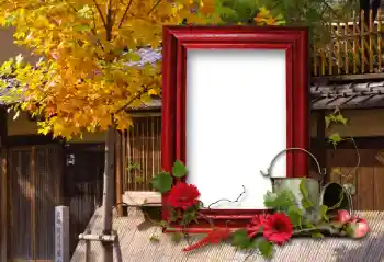 Efecto de fotos de la categoría Otros № 100114