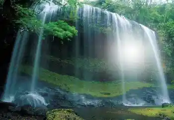 Efecto de fotos de la categoría Otros № 100117