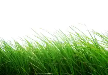 Efecto de fotos de la categoría Otros № 101116