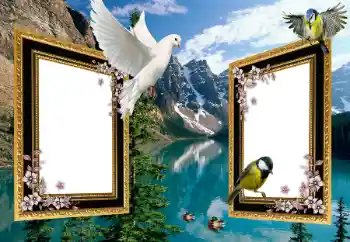 Efecto de fotos de la categoría Otros № 101225 Efecto de fotos de la categoría Otros № 101225