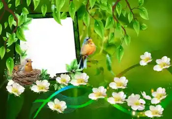 Efecto de fotos de la categoría Otros № 101227 Efecto de fotos de la categoría Otros № 101227