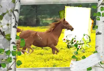 Efecto de fotos de la categoría Otros № 101264 Efecto de fotos de la categoría Otros № 101264