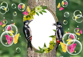 Efecto de fotos de la categoría Otros № 101320