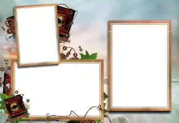 Efecto de fotos de la categoría Otros № 101355