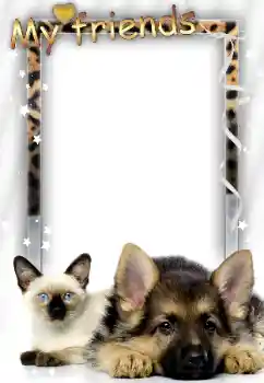 Inscripción en el marco: Mis amigos Inscripción en el marco: Mis amigos