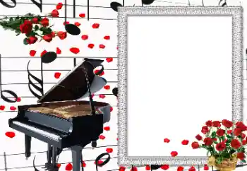 Efecto de fotos de la categoría Otros № 102768