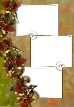 Efecto de fotos de la categoría Otros № 103882