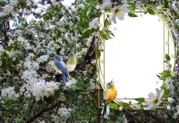 Efecto de fotos de la categoría Otros № 104101