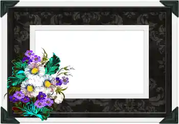 Efecto de fotos de la categoría Otros № 104106