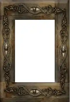 Efecto de fotos de la categoría Otros № 105551