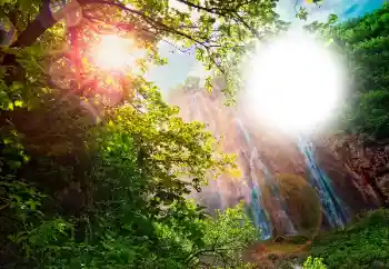 Efecto de fotos de la categoría Otros № 105565