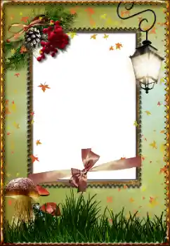 Efecto de fotos de la categoría Otros № 111886