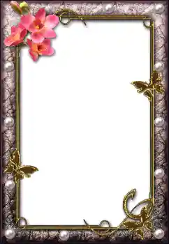 Efecto de fotos de la categoría Otros № 112004