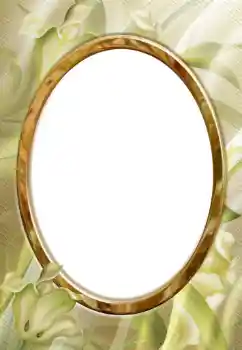 Efecto de fotos de la categoría Otros № 112278