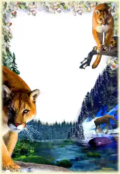 Efecto de fotos de la categoría Otros № 112361