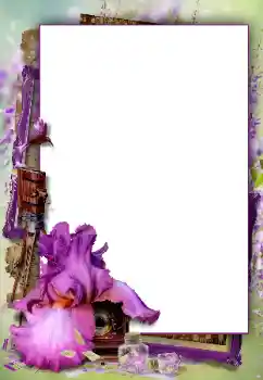 Efecto de fotos de la categoría Otros № 112460