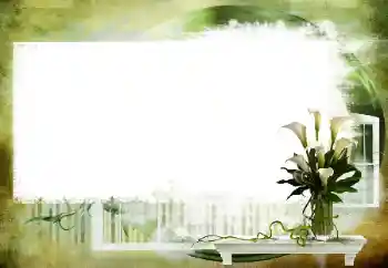 Efecto de fotos de la categoría Otros № 112461