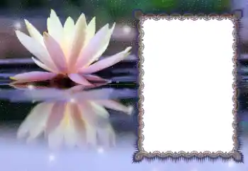 Efecto de fotos de la categoría Otros № 112532