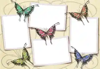 Efecto de fotos de la categoría Otros № 112580