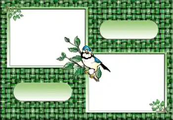 Efecto de fotos de la categoría Otros № 112641