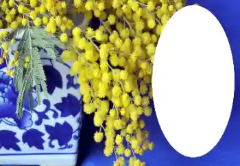 Efecto de fotos de la categoría Otros № 112719