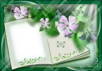 Efecto de fotos de la categoría Otros № 112842