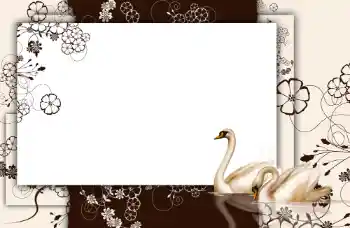 Efecto de fotos de la categoría Otros № 112848