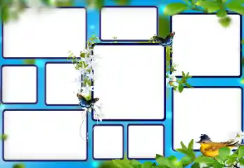 Efecto de fotos de la categoría Otros № 112853