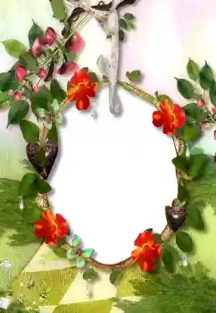 Efecto de fotos de la categoría Otros № 113118