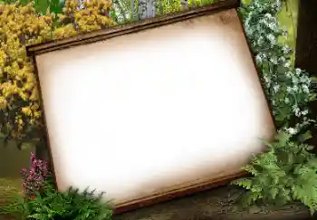 Efecto de fotos de la categoría Otros № 113134