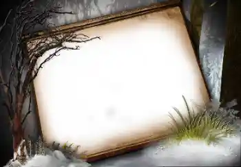 Efecto de fotos de la categoría Otros № 113136